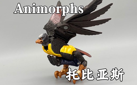 变形金刚Animorphs系列/动物变形人，黑鹰TOBIAS/托比亚斯