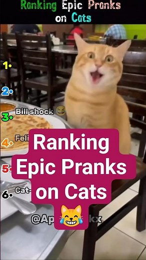 Ranking Epic Pranks on Cats😹 #shorts #funny #cat