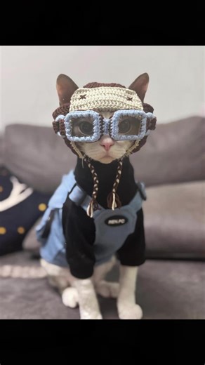 We are a garment manufacturer — pattern making, sewing, QC all in-house.#petclothes #catclothes #devon #catstyle #petfashion #cattok #catoutfits #petootd