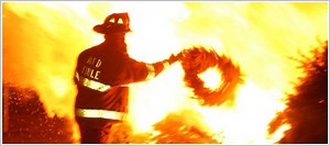 Annual Christmas Tree Bonfire Celebration Set for January in Mendham