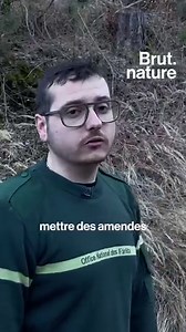 710K views · 3.3K reactions | "C'est un métier dont je rêvais et puis j'ai finalement pu le réaliser." C'EST MON MÉTIER — Son bureau, c'est la forêt. À 21 ans, Flavien est garde forestier dans le Trièves, en Isère. Amoureux de la nature depuis tout petit, son rôle c'est de gérer, protéger et d'adapter la forêt aux changements climatiques. On a suivi, dans un décor de rêve, ce "médecin de la forêt". | Brut | Facebook