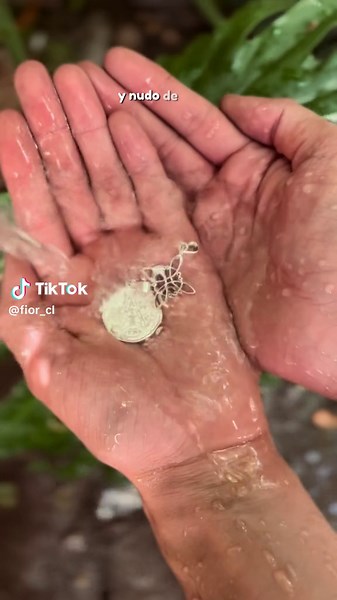 Tetragramatón: Protección, Sabiduría y Energías Naturales