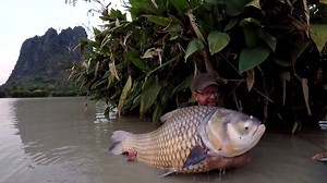 75K views · 438 reactions | So heavy I struggled to even lift it! In the region of 150lb+ once again Thailand is a place where angling dreams come true. For your own slice of heaven visit www.martinbowler.co.uk - limited spaces available for 2018 but going fast! | Martin Bowler | Facebook