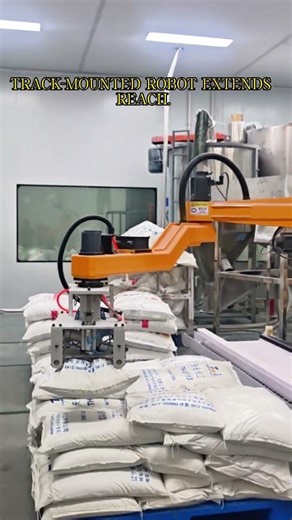 Rail Mounted Robot for Bag Depalletizing and Hoppe#depalletizing #robotics #pp