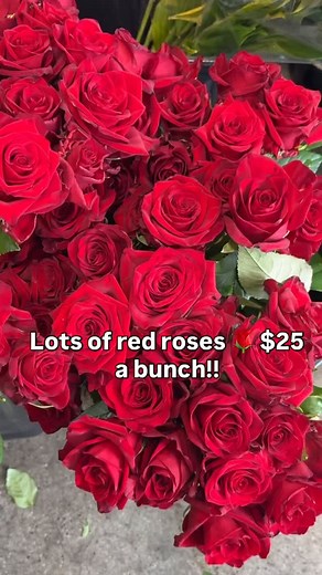 Tamar Valley Roses on Reels