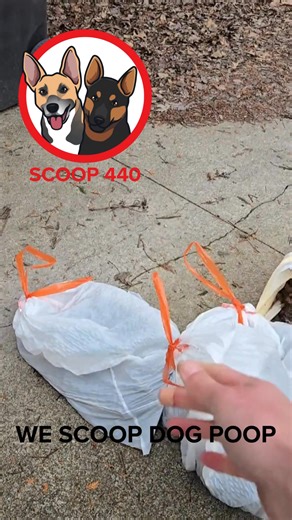 9.1K views · 23 reactions | WE SCOOP DOG POOP!   We scoop over 100...