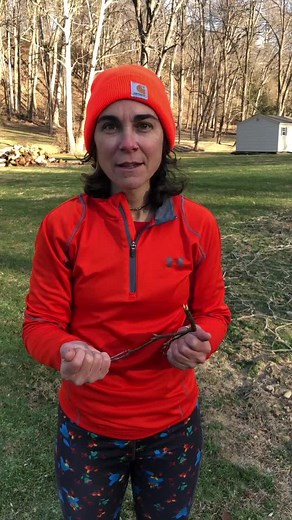 Water Witchin’ to find underground water #waterwitch #dousingrod #underground