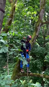 When you do what you love, you don't work a day in your life🙌🏼🌳 Product featured: Rope Runner Pro Please note that this video was filmed in Germany, and it is important for all arborists to adhere to the relevant Personal Protective Equipment (PPE) standards applicable to their respective locations. https://notchequipment.com/rope-runner-pro/ #NotchEquipment #ElevatingArborists | Notch Equipment