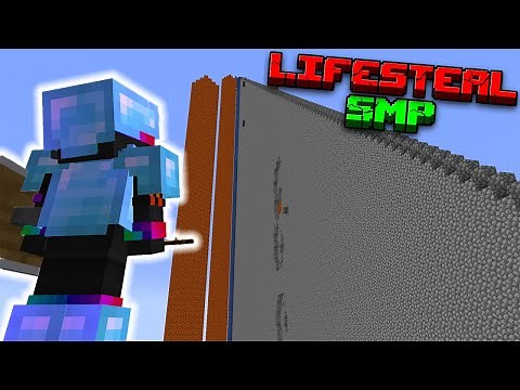 I Made Lifesteal SMP Anarchy...