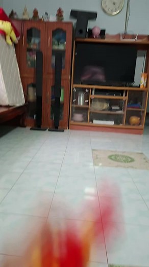 Understanding the M1911 Pistol: Features and Insights