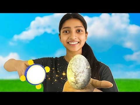 When I Found Doraemon’s small Light! * REAL*