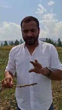 Apple Root Rot Disease: Causes, Symptoms & Effective Biological Control