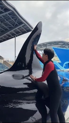 Dolphin's Secret Reason! 🐬😲