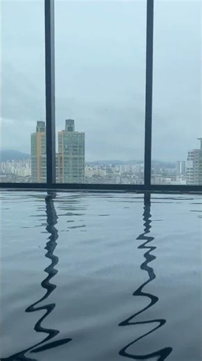 소피텔 앰배서더 서울 호텔 수영장♥️#소피텔 #소피텔앰배서더서울 #호텔수영장 #수영장 #물놀이 #호캉스 #오니 #일상 #서울호텔 #shorts
