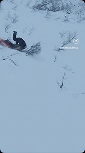 25K views · 2K reactions | @the.reel.mvp • This is why you keep wrecking … mountain snipers #klimambassador#snowmobiling #snowmobile #powder #sledlife #skidoo #skidoo850 #skidoosummit #skidoofreeride #polaris #kaos #arcticcat #sled #wheelies #thatskidoofeeling #snowmobilenation #deviantink #deviantinkwraps | Snowmobile Fails | Facebook