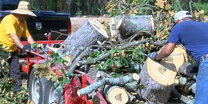 Kansas City releases annual spring leaf and brush collection schedule