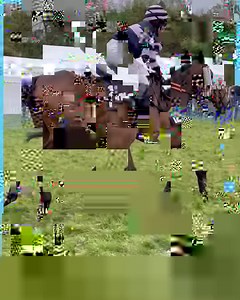 What is 'Point to point racing' you ask 🤔👀 | Phil Carr