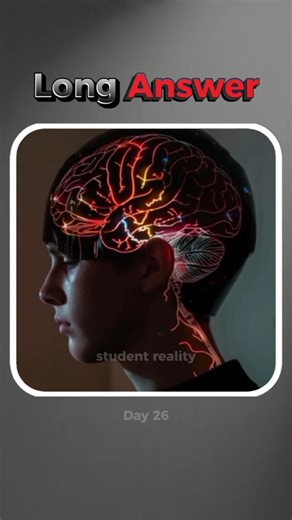 Long Answers 🤫