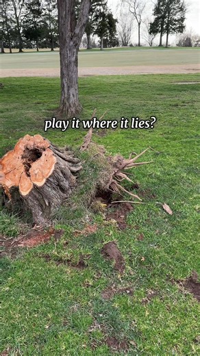 Unexpected Banana Peel Moment in Golfing Fail