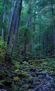 Backgrounds 7 0 – Dynamic Desktop Wallpapers Hd