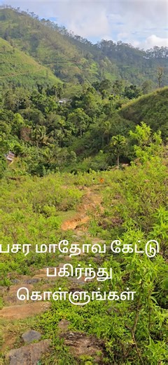 RAHULA THERO (@rahulathero88)’s videos with Pyre (STEM synth) - Altitude Music / BMGPM