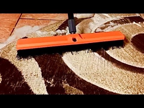 The Only Asmr Carpet Cleaning Video You Need to Watch! Satisfying Rug Cleaning.