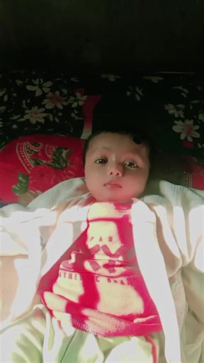 humara (@sabbircomputer6)’s videos with original sound - MARUF 🫧