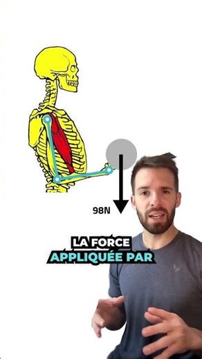 Un biceps court est plus faible qu’un biceps long 💪⚙️