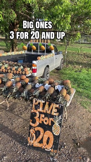 Best Quality Pineapples: 3 for $20, 2 for $100 Deal