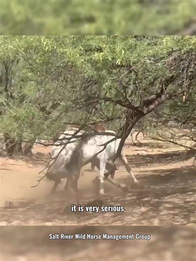 1.1K views · 3.9K reactions | While we are waging a new battle for...