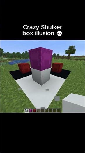 Minecraft Crazy Shulker Box Illusion Moment