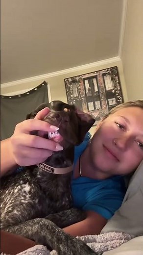 Dog Gets a Loving Hug From His Owner | Adorable Pet Moment!