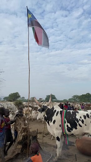Dinka Bor Cattle Camp in South Sudan