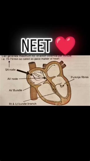The Heart ❤️ The NCERT .The 11th 12th students . Neet aspirant ❤️ #viral #neet #biologybook