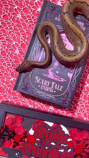 Ready to bite into Halloween? 🐍🕷️ The Plouise Halloween palettes have everything you need for a seriously spooky look👻 Think bold, bewitching colors that’ll have you slithering through the season in style. Trick or treat yourself to some serious Halloween glam. 🖤💀 | Plouise Makeup Academy