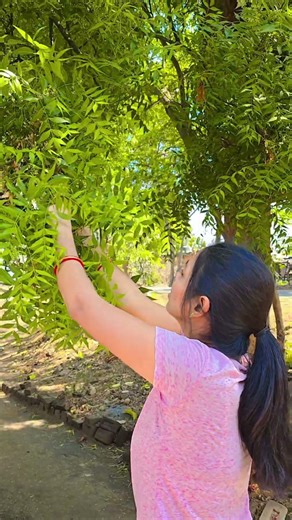 🌿#NeemLove #NatureVibes #SisterFun #DesiMoments #NatureGirl #SimpleJoy #FunnyMoments #GreenLife 🌿💚