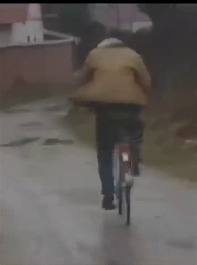 Best Funny Video