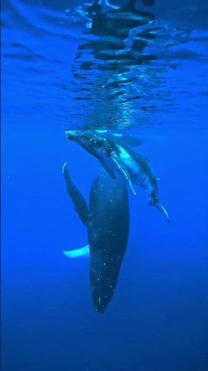 Love OLED & Tech? Subscribe Now for More Epic Videos! 🔥