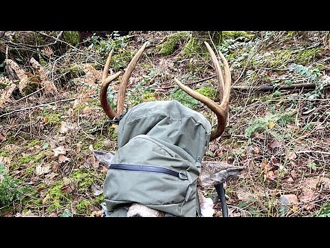2021 blacktail deer hunting