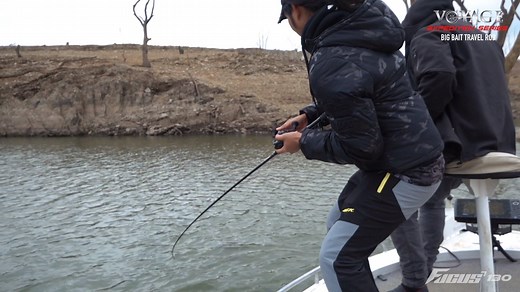 32K views · 2.1K reactions | The BONE Voyage Expedition Series (BEC684XXXH, PE3-6) travel rods pulls up this 85cm Murray Cod, which was fooled with the BONE Focus 130 multi-function swimbait. #BONEFishingWorld #BONEVoyageExpedition #TravelRod #BONEFocus #Swimbait #MurrayCod | BONE Fishing World | Facebook