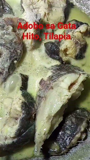 HITO, TILAPIA ADOBO SA GATA #catfish#fishing