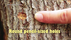 4.7K views · 43 reactions | Do you own a pool? You can help protect...