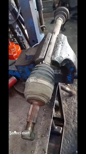 Şaseci Esef: An Insightful Journey