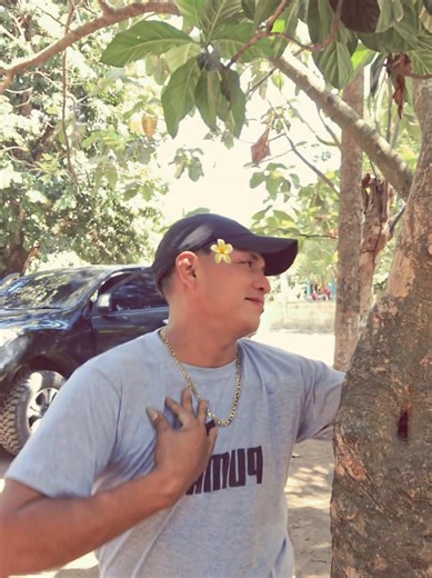 Videos de Pauloba_Vulcan (@paulobavulcan27) con “sonido original - wilimusiclyrics”