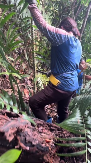 Explore Sarawak's Unique Cuisine with Upalalis