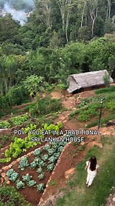 104K views · 2.8K reactions | Ceylonese @morganexplorer Fox...