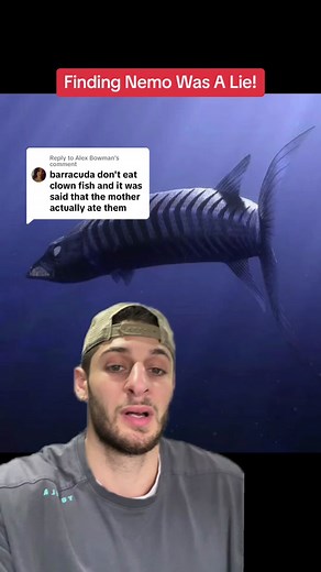 Replying to @Alex Bowman the barracuda from finding nemo is innocent! #ocean #findingnemo #disney #animalfacts #barracuda #animals #deepsea