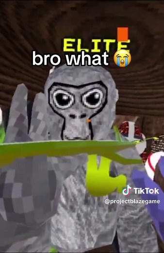 what are these project Blaze lobbies bro 😭 gorilla tag with mods finger painter AA badge longarms platforms standalone custom cosmetics moderator stick admin badge fire stick forest guide stick free on applab #gorillatag #gtag #vr #fyp #copy