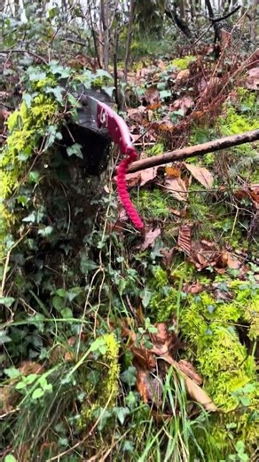 Victorinox hunter pro alox one handed oppening