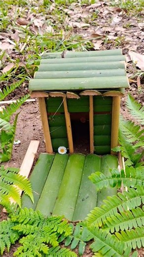 ​Mini Bamboo House with Flat Roof 🎋#shorts #diy